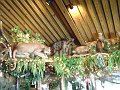 Clark's 4-20-08 016